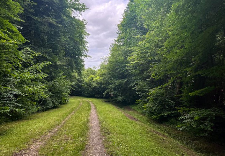 Arboretum de La Roche-Guyon, La Roche-Guyon, France, France